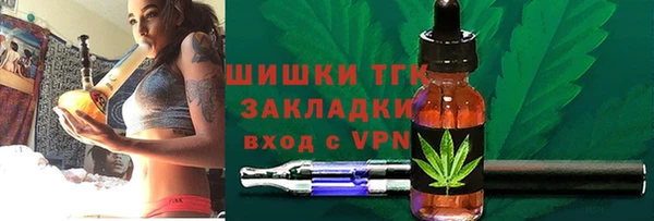 твердый Алексин