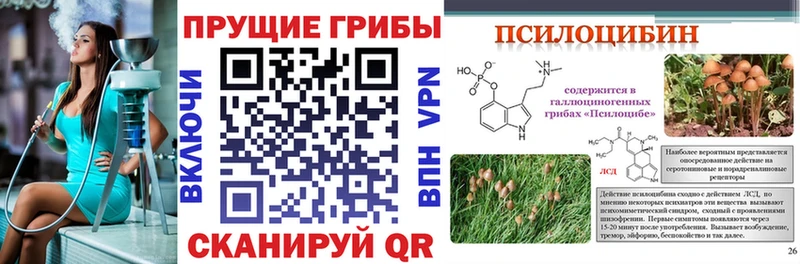 Галлюциногенные грибы Psilocybe  Урюпинск 